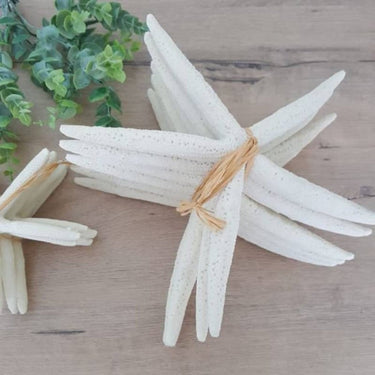 decorative starfish set styled on a shelf for coastal vibe