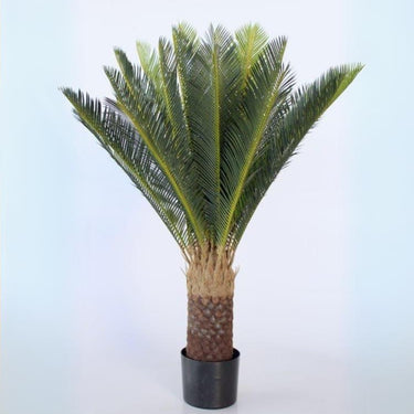 Faux Cycad Plant Potted lifelike Faux tree