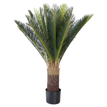 Faux Cycad Plant Potted