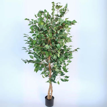 Faux Ficus Plant Potted in Artificial Flora