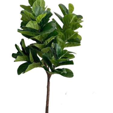 an artificial fiddle leaf plant 