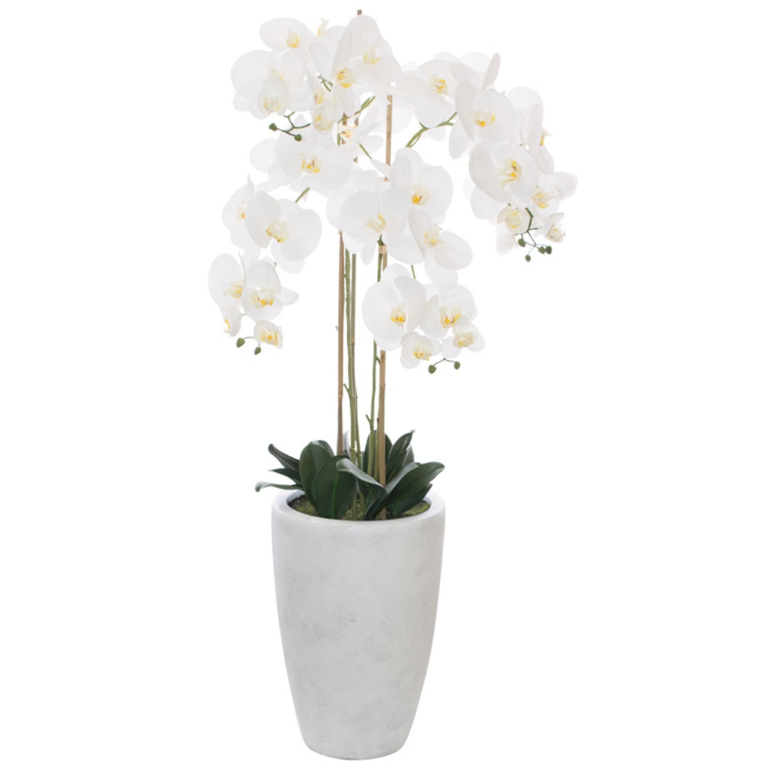 Floor Standing White Orchid by Woodka Interiors