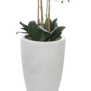 Floor Standing White Orchid n White Ceramic pot