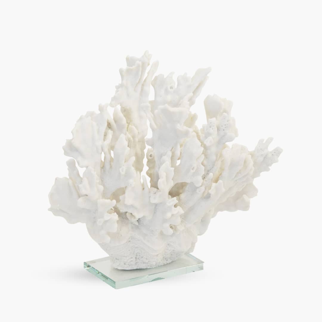 Fox Decorative Coral on stand  By Woodka Interiors