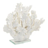 Fox Decorative Coral on Glass Stand By Woodka Interiors