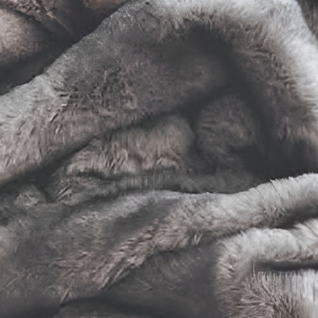 Yukon Fur Throw in Gravity | Cozy Home Accessory