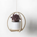 Hanging Pot Plant Holder Round