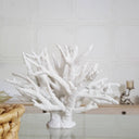 Large Faux White Coral Branch  on a glass table