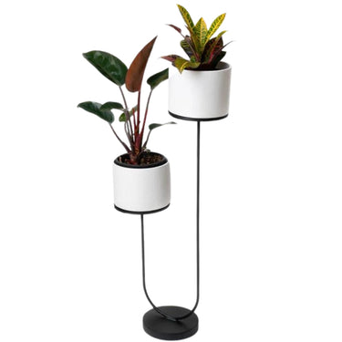Matte black metal U planter holding small plants