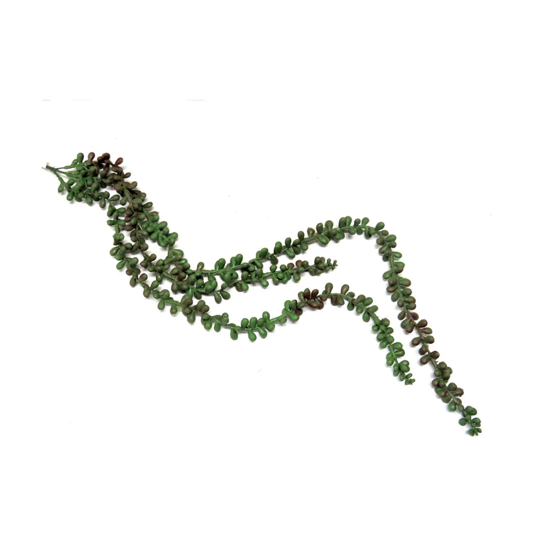 String Greenery String of Pearl Succulent Plant 79cm - Artificial Greenery – Woodka ...