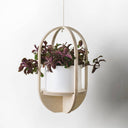 Pill Hanging Pot Plant Holder