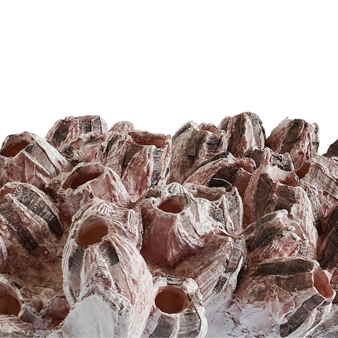 Pink Barnacle Decor – Textured Coastal Accent – Woodka Interiors