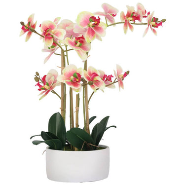 Artificial orchid with multiple stems and realistic green leaves