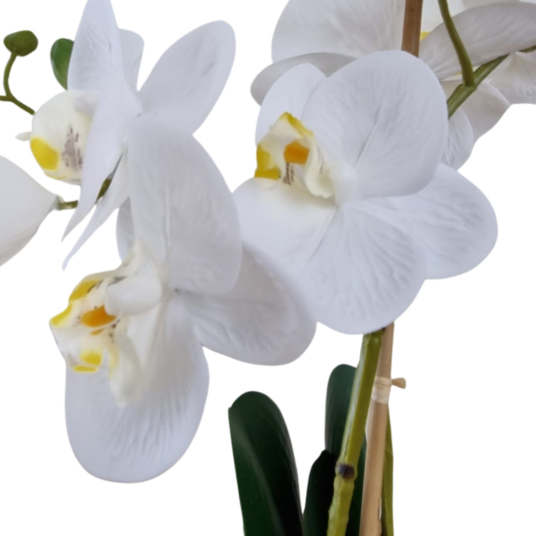 Real touch white orchid flowers