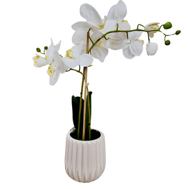 Real Touch White Orchid