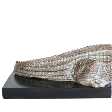 Stylish crocodile bookends for modern home decor.