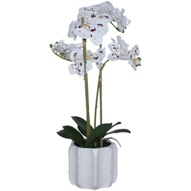 Artificial orchid plant with white and purple speckled flowers
