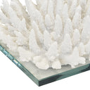 Spiked Coral on Glass Stand in White