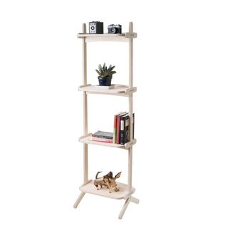 Splayed Book Shelf