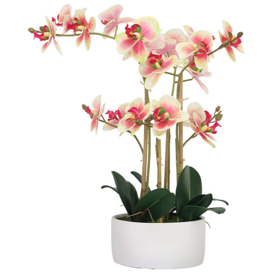 Sunset Real Touch Orchid in decorative planter by Woodka Interiors.
