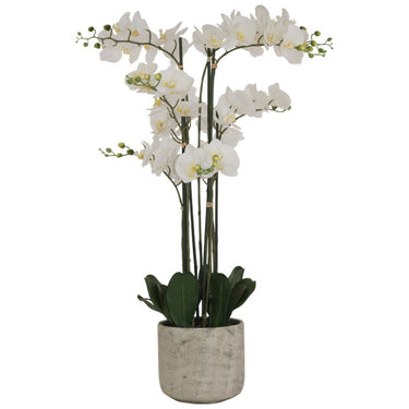 100cm artificial orchid with realistic stems and green leaves