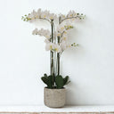 Large white artificial orchid display for elegant home decor