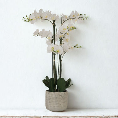 Large white artificial orchid display for elegant home decor