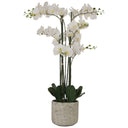 Tall White Artificial Orchid in rustic ceramic pot