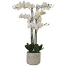 Tall White Artificial Orchid in rustic ceramic pot