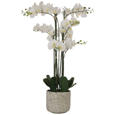 Tall White Artificial Orchid in rustic ceramic pot