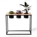 Triple Wood Metal Planter with plants