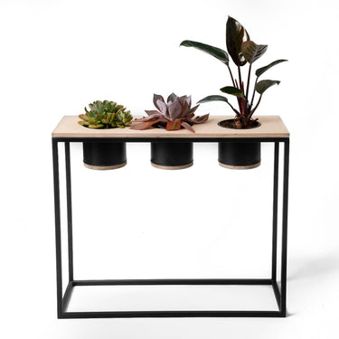 Avani Triple Metal Planter with three succulents side by side