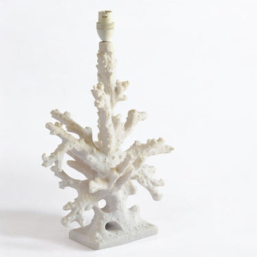 White Coral Lamp Base