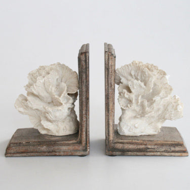 White Coral Bookends on a wooden base