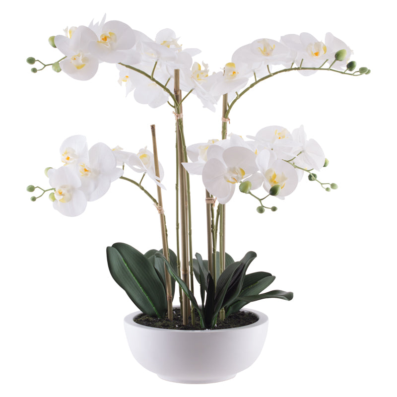 artificial white orchid