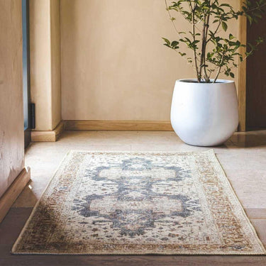 Decorative rug with intricate patterns on a wooden floor, accompanied by a white pot with green plants.