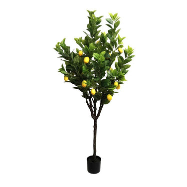 Artificial lemon tree with green leaves and yellow lemons on a white background