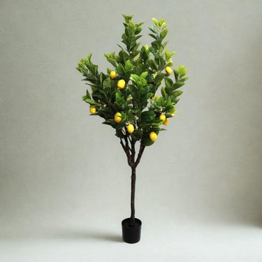 Artificial lemon tree with green leaves and yellow lemons on a plain background