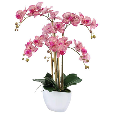 Large realistic orchid with pink and purple blooms