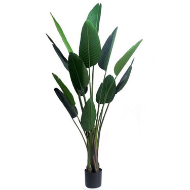 Artificial Banana Leaf Tree – 195cm