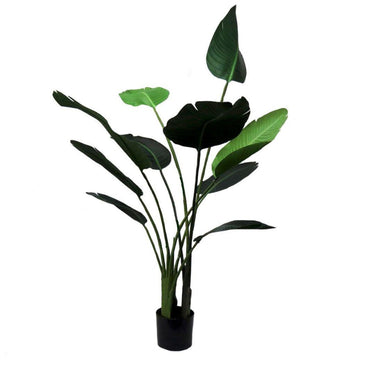 Artificial Strelizia Tree 155cm in black pot for home or office