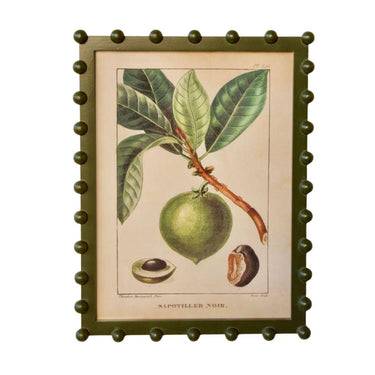 Framed tropical black sapote botanical wall art print with an olive green bobble frame.