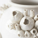 Close-up of a white ceramic vase decorated with sculpted coral-like protrusions in a matte finish.