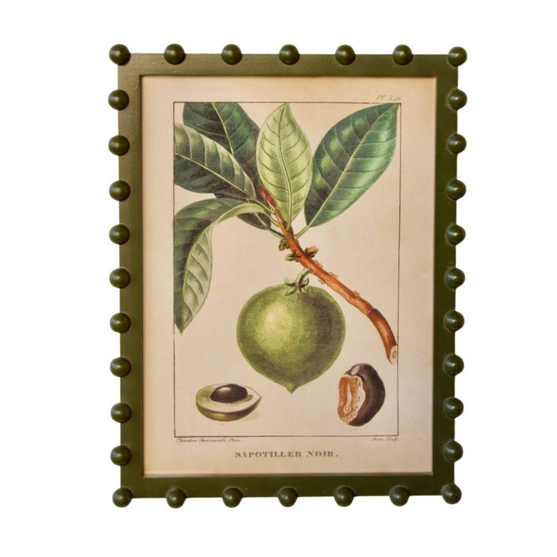 Framed chocolate pudding fruit botanical art print in an olive green bobble frame.