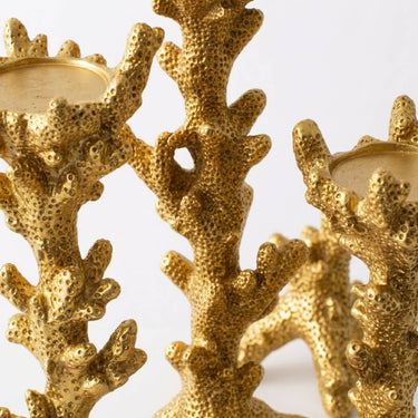 Close-up of a gold coral-shaped candle holders  with textured, branching coral-like forms and circular gold-toned tops, photographed against a light neutral background.