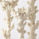 Three coral branch-shaped candle holders with a porous, textured surface in an off-white color, set against a plain white background.