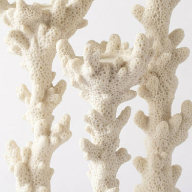 Three coral branch-shaped candle holders with a porous, textured surface in an off-white color, set against a plain white background.