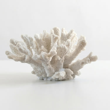  coral white decorative sculpture with a textured, branching organic shape.