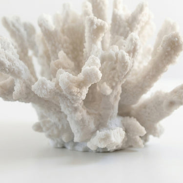 White textured faux coral decorative object.