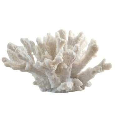 white coral reef decorative piece with a textured, branching structure.